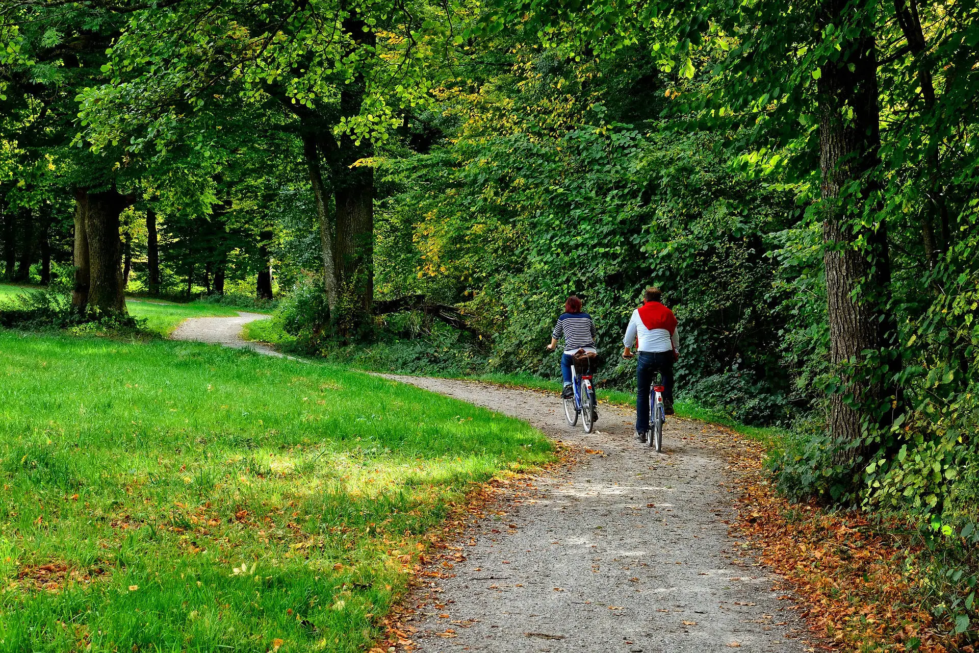 Dva cyklisté na cestě parkem