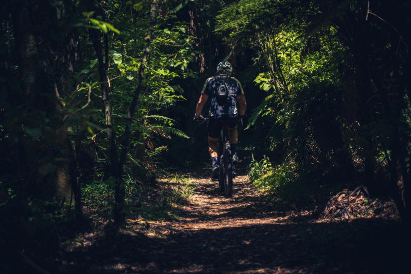 půjčovna kol bike-rental